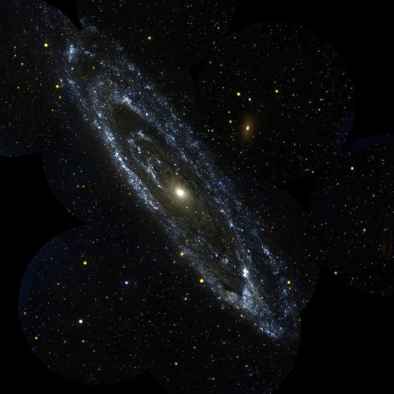 Andromeda Study